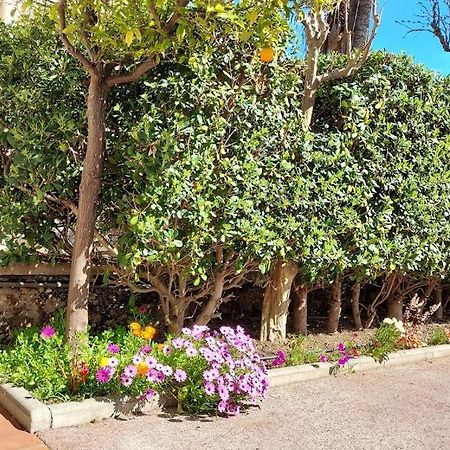 Rez-De-Chaussee Privatif Spacieux 3* D'Une Villa Centre Ville Hyères Eksteriør bilde